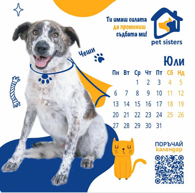 Pet Sisters - дарителски календар за 2026 година
