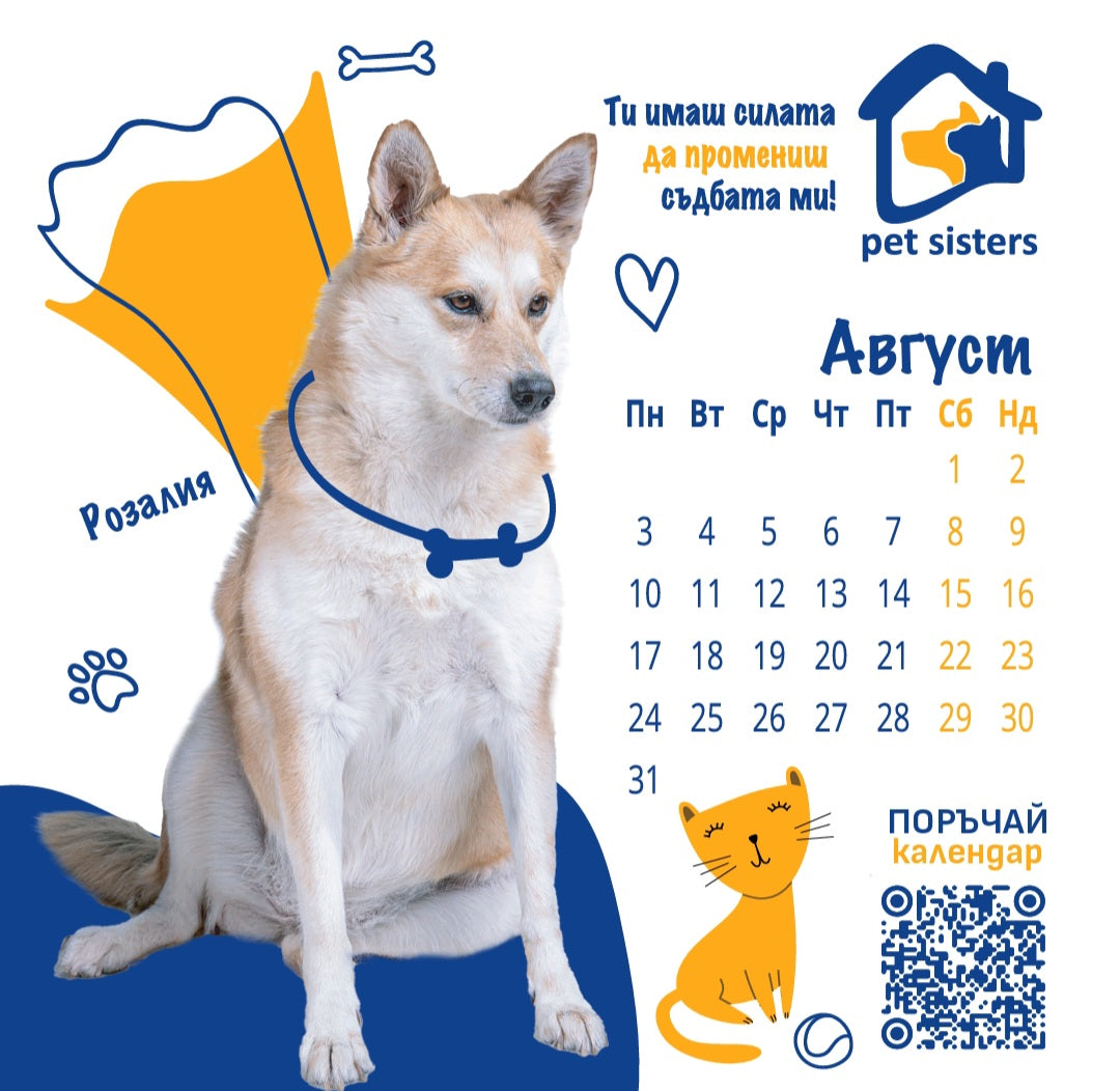 Pet Sisters - дарителски календар за 2026 година