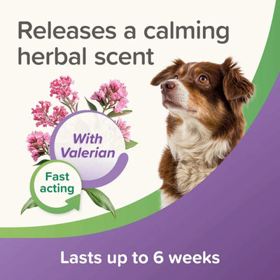 Beaphar Calming Spot On – успокояващи пипети за кучета 3 броя