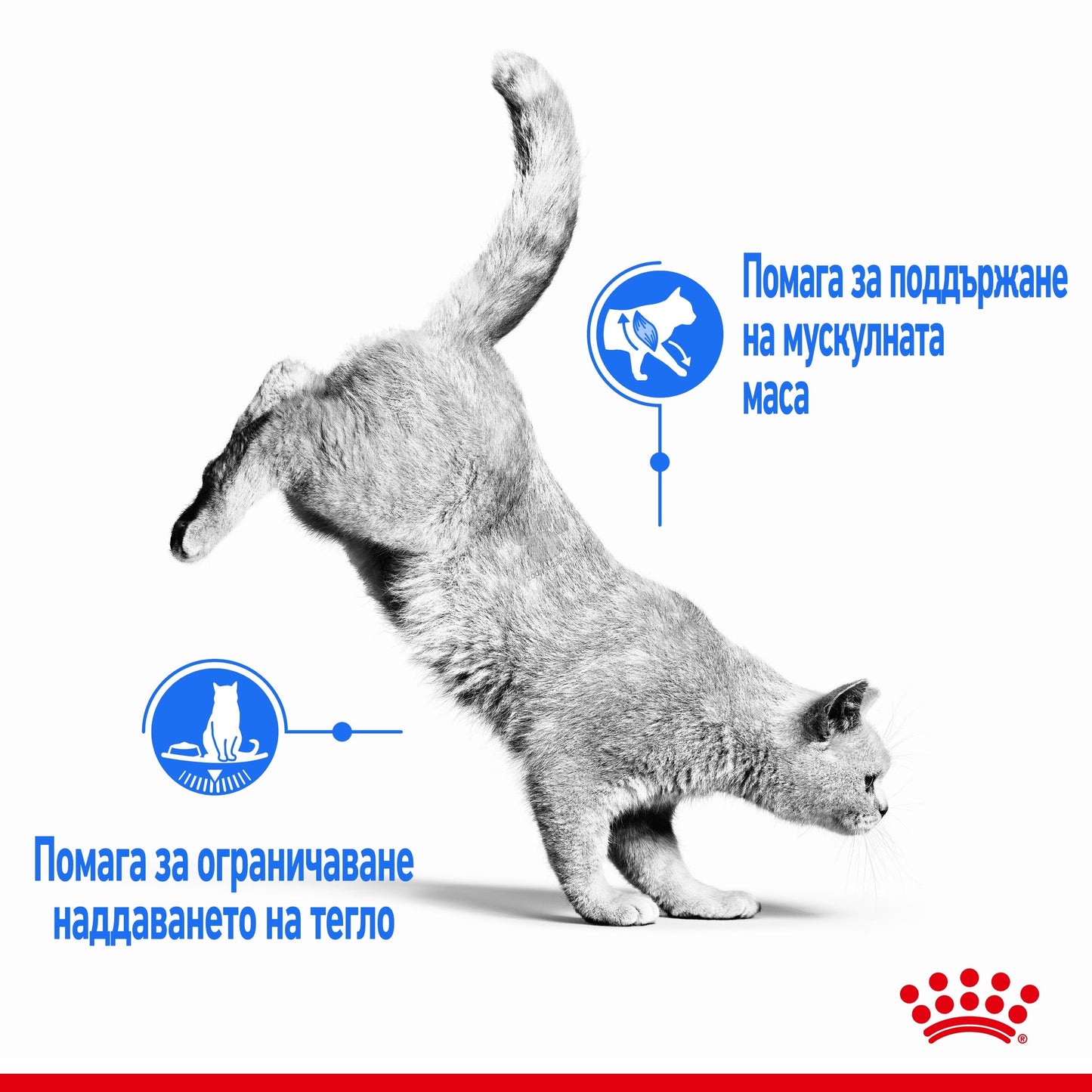 РАЗПРОДАЖБА Royal Canin Light Weight Care – храна за котки с наднормено тегло