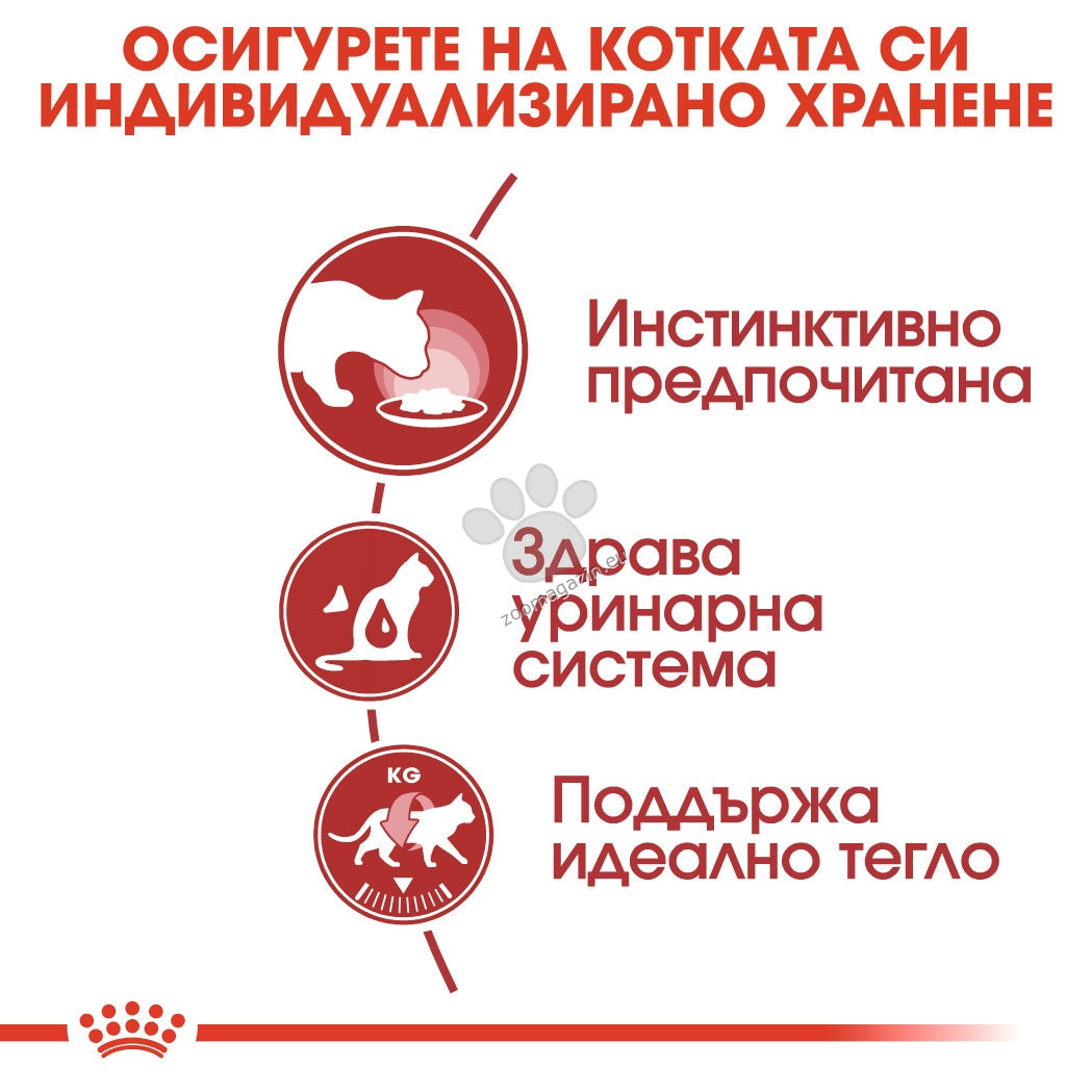 РАЗПРОДАЖБА Royal Canin Instinctive in Loaf - пълноценна храна за зрели котки 85 гр
