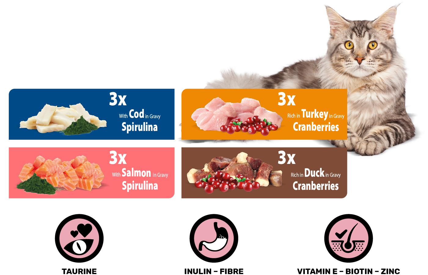 Rasco Premium Adult Sterilised - паучове за котка със сьомга, пуешко, патешко и треска 12 х 85 гр