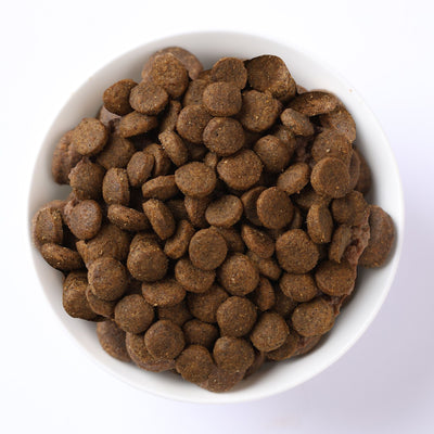 N&D Quinoa Skin & Coat Venison, Coconut Mini – пълноценна храна с киноа за кучета в зряла възраст над 1г. за малки породи при чувствителен стомах, здрава кожа и козина с еленово месо, кокос и куркума 7 кг.
