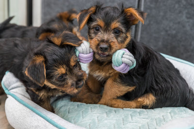 Trixie Junior Rope Dumbbell - въжена гира