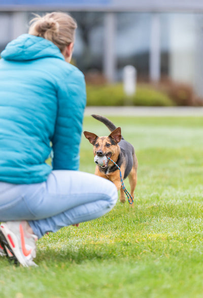 Trixie Ball on a Rope - топка с въже 6 см / 30 см