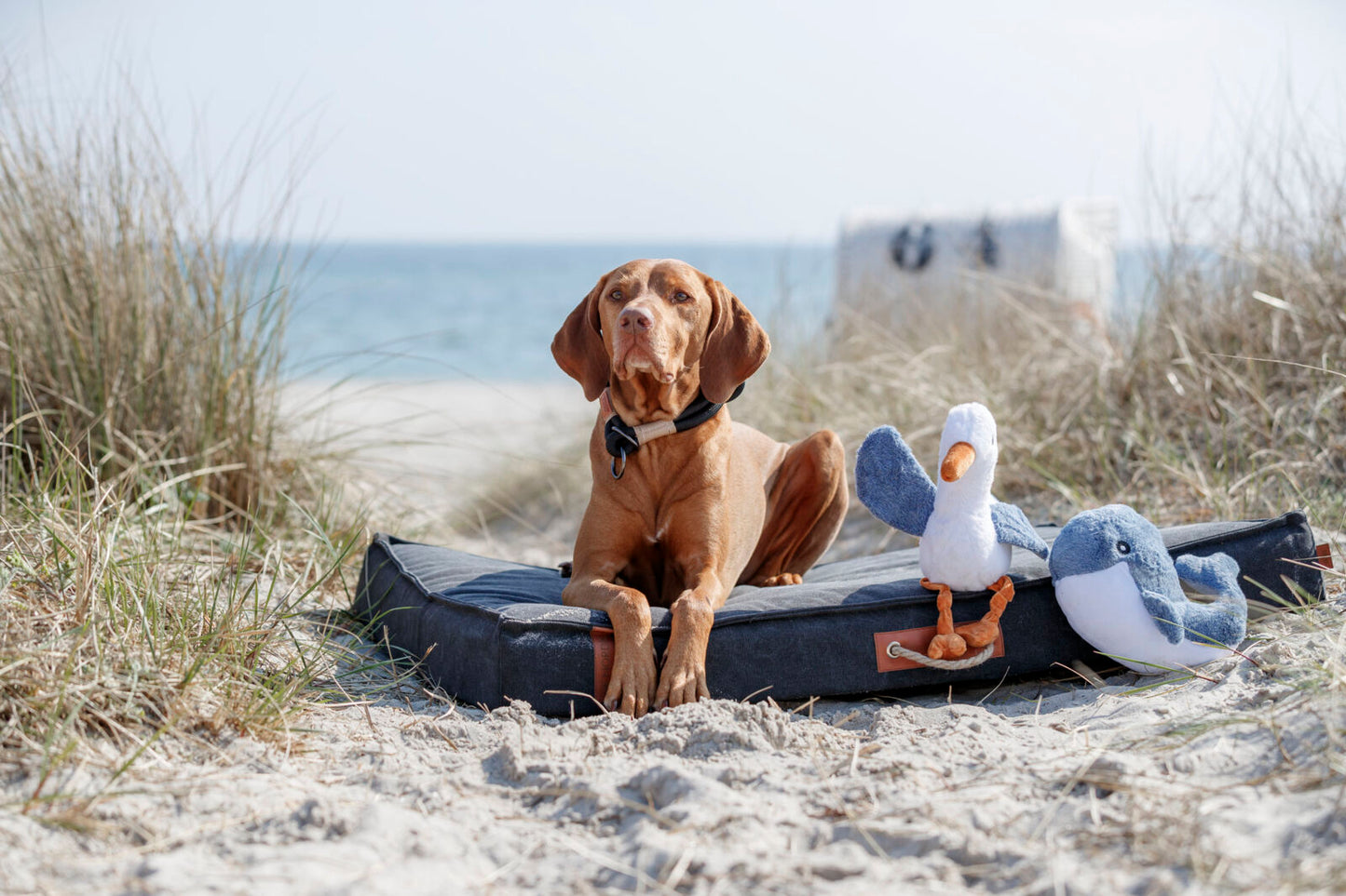 Trixie Be Nordic Seagull Hinnerk - чайка 35 см