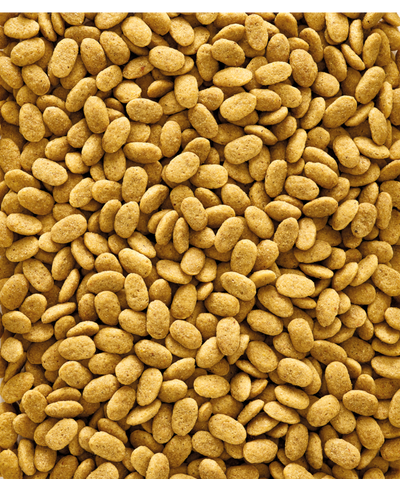 Versele Laga Nutribird Р15 Original - пълноценна екструдирана храна за големи папагали