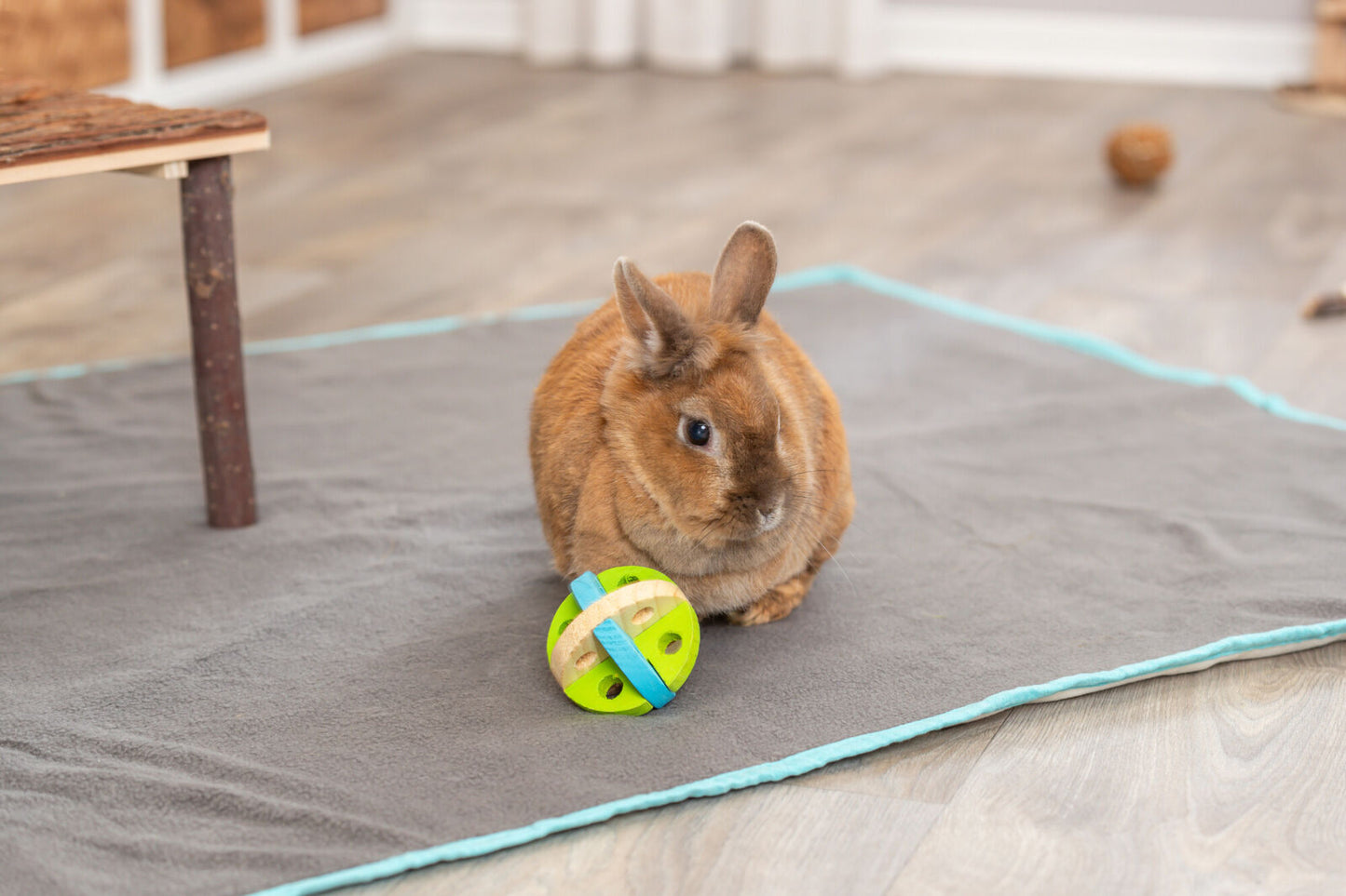 Trixie Play and Snack Ball - играчка за мини зайчета 8 cм