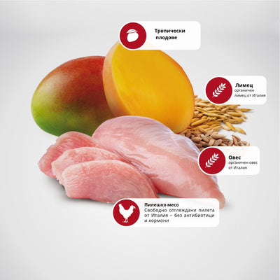 N&D Cat Tropical Selection Chicken - суха храна за котки над 1 година, с пилешко, спелта, овес и тропически плодове