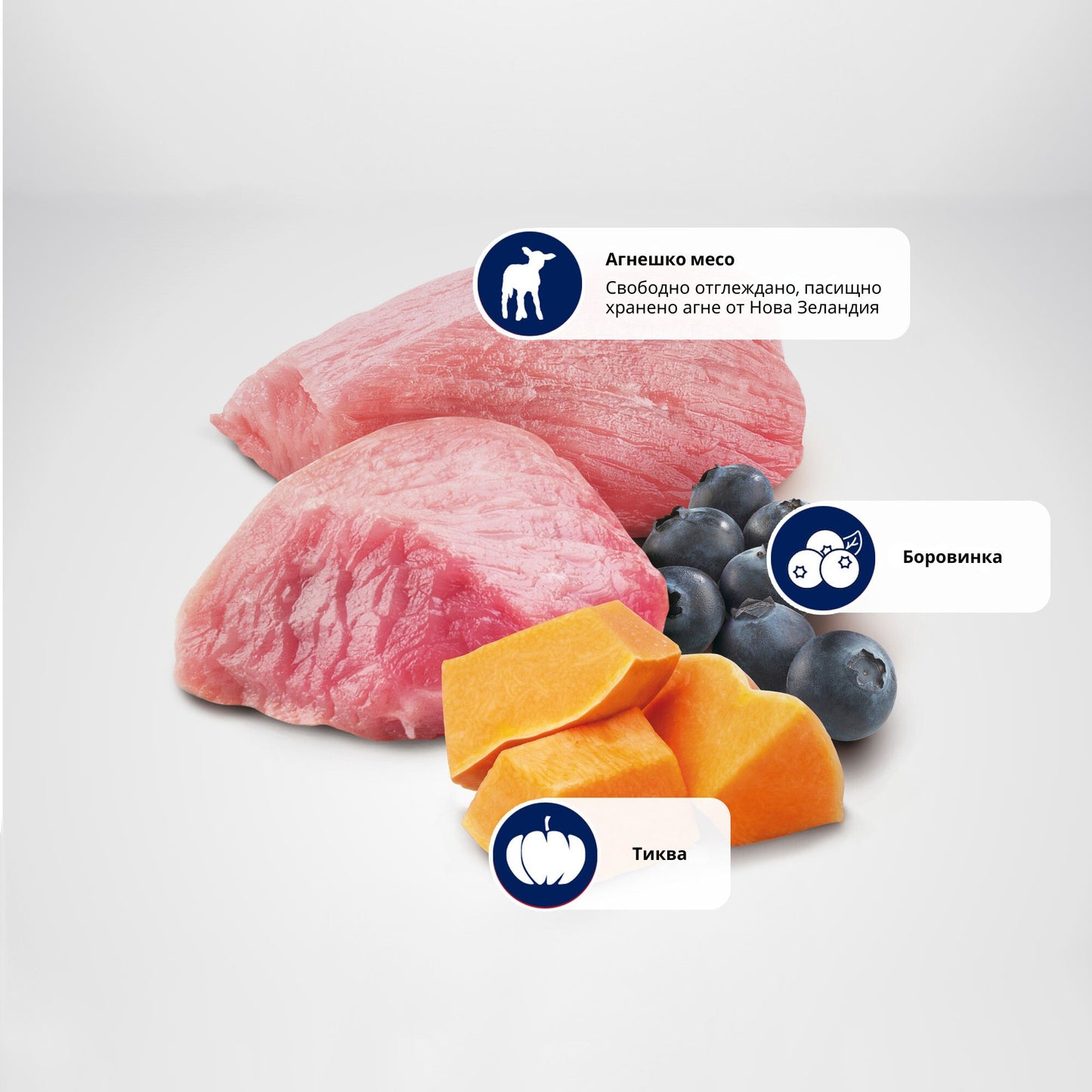 N&D Pumpkin Lamb and Blueberry Adult Mini - пълноценна храна с тиква за кучета от дребни породи с агне и боровинки