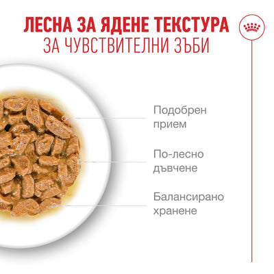 Royal Canin Ageing 11+ - пауч за възрастни котки 85 гр