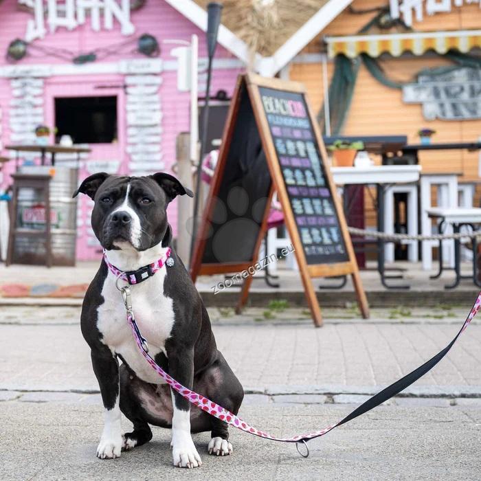 Max Molly Smart ID Strawberry Dream XS - нашийник с ID чип за сигурност 22 - 35 см. / 10 мм.