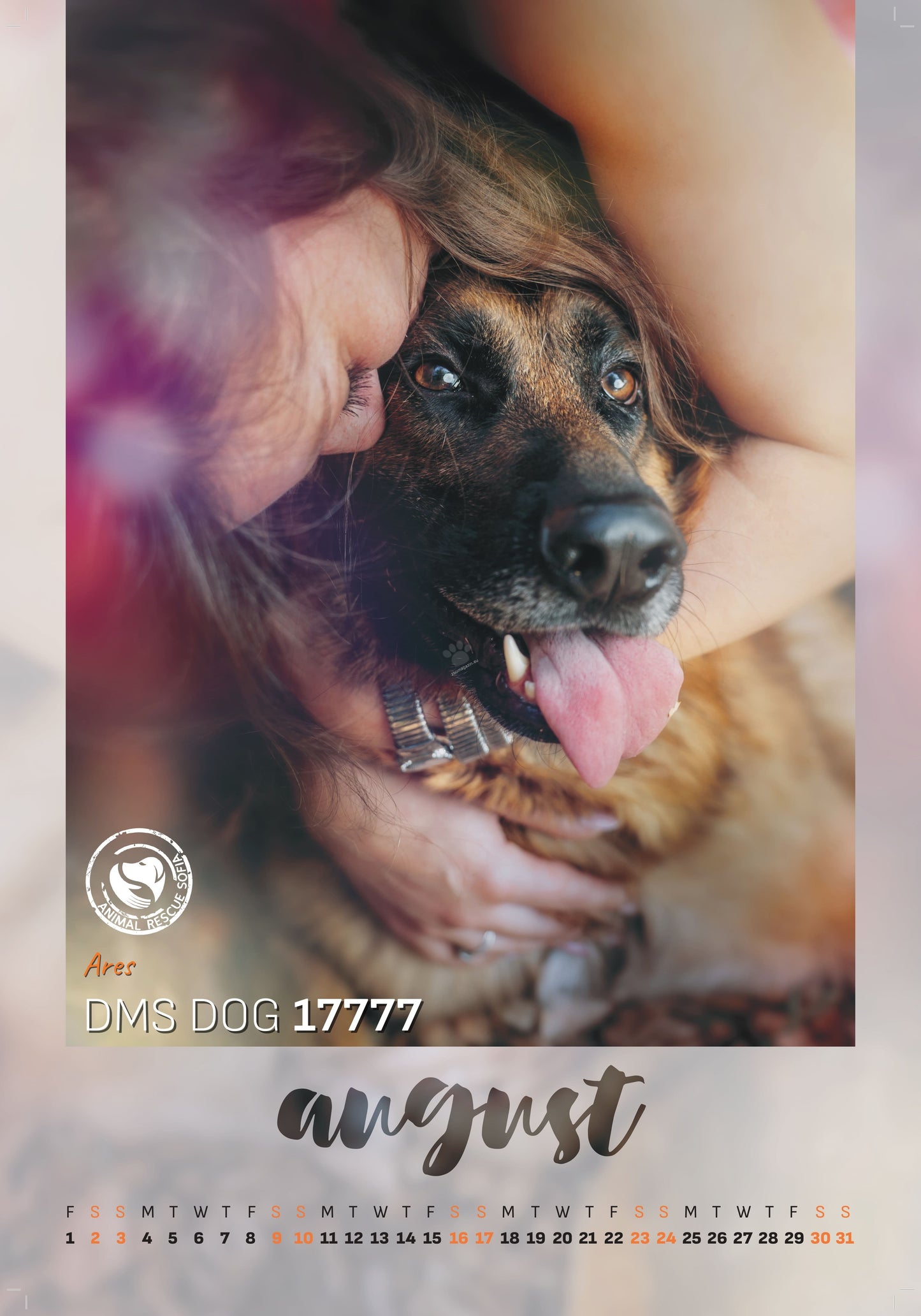 Animal Rescue Sofia - дарителски календар за 2025 година