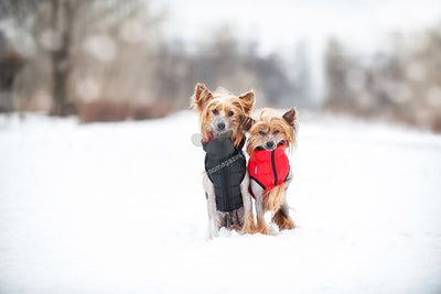 Reversible dog jacket AiryVest, red-black, size M45 - двустранно олекотено кучешко яке, за кучета с дължина на гърба 42 - 45 см.