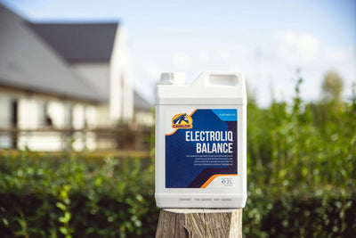 Cavalor Electroliq Balance - течен електролит 5000 мл.