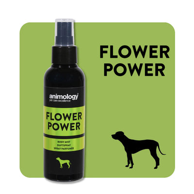 Animology Flower Power - дълготраен спрей с аромат на роза и жасмин 150 мл.