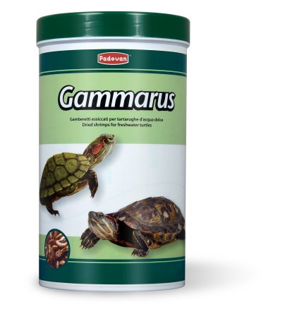 Padovan Gammarus - храна за костенурки