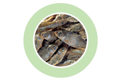 Padovan Fishes - храна за костенурки, сушени рибки 150 гр.
