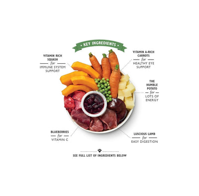 Lilys Kitchen Dog Dog Lamb Hotpot - консерва за кучета с агнешко 150 гр.