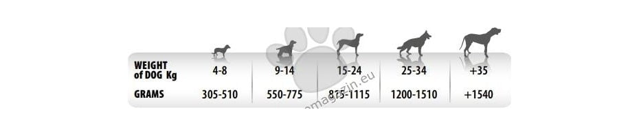 Monge Monoprotein Pate Chicken with Pineapple - консерва за кучета в зряла възраст с пилешко месо и ананас 400 гр