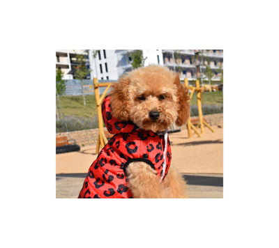 Nayeco Leopard Jacket - яке за куче (червено)
