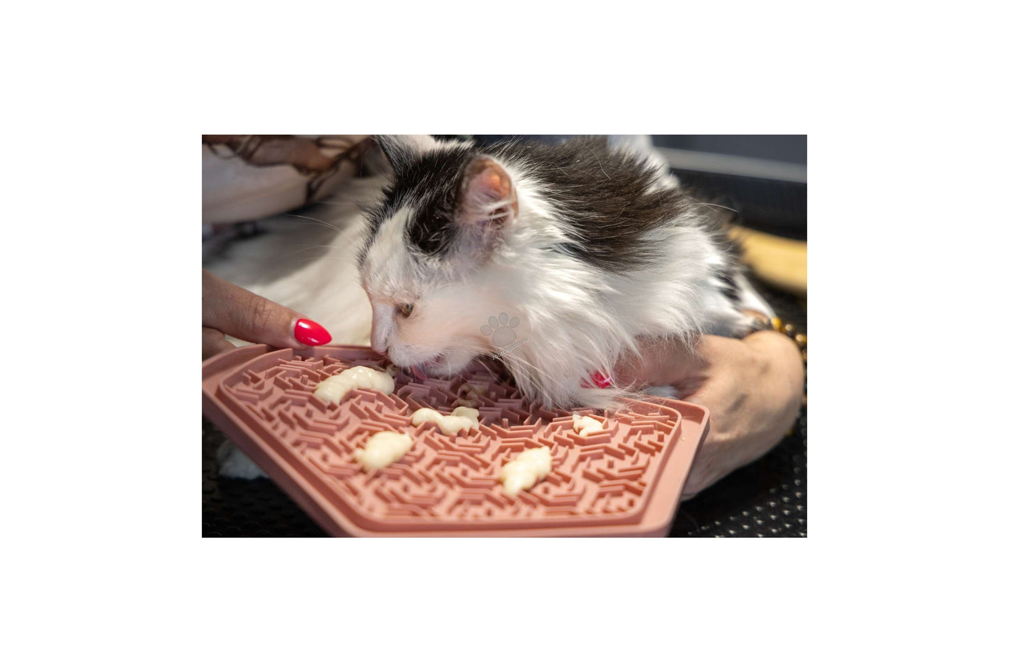 Flamingo Lick pad Jelly - подложка за хранене 24 / 21 см