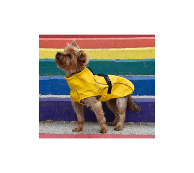 Nayeco Raincoat London - дъждобран за куче 20 см.