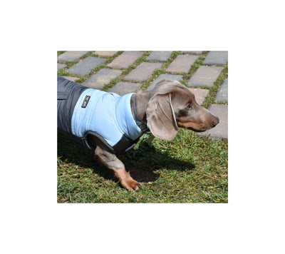 Nayeco Montecarlo Jacket - яке за куче 35 см.