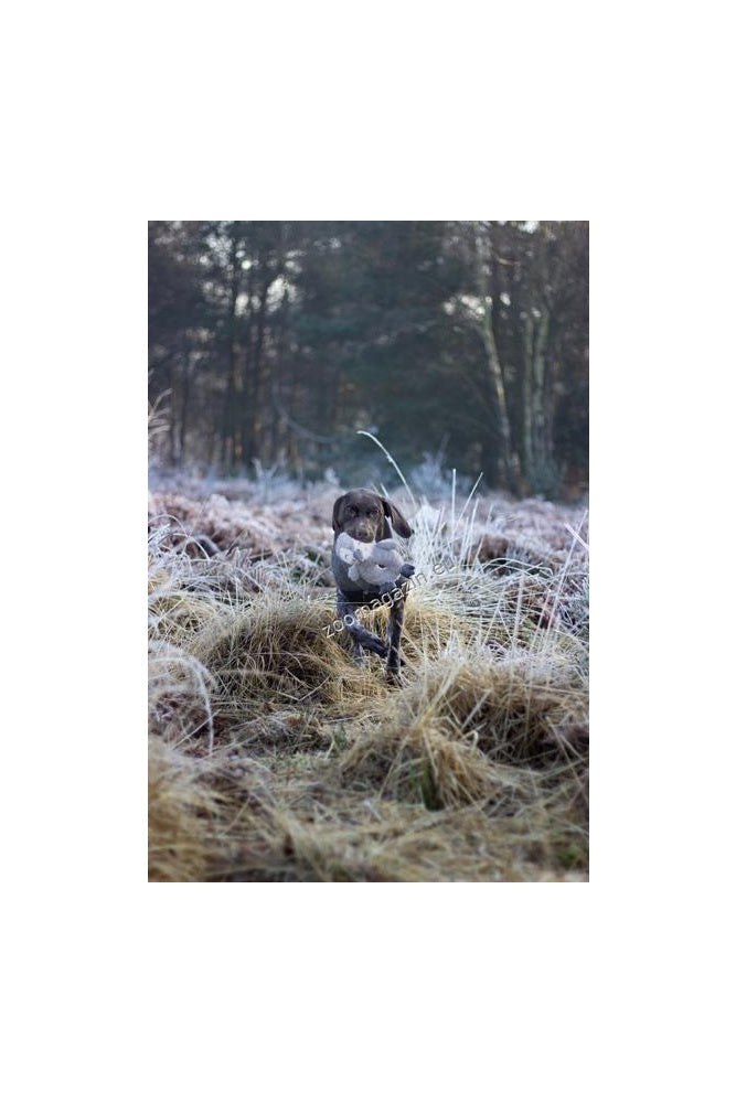 Rosewood Paul Penguin - играчка за кучета