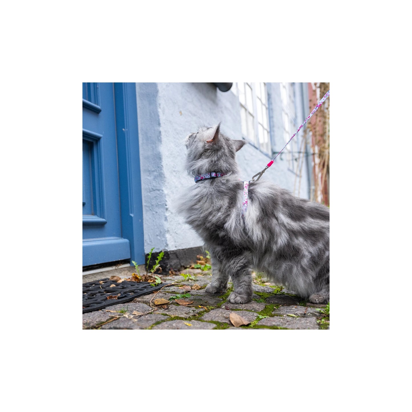 Max Molly Cat Harness / Leash Set Cherry Bloom 1 Size - нагръдник с повод за котка с обиколка на врата 21,5-33 см и обиколка на тялото 27-44 см