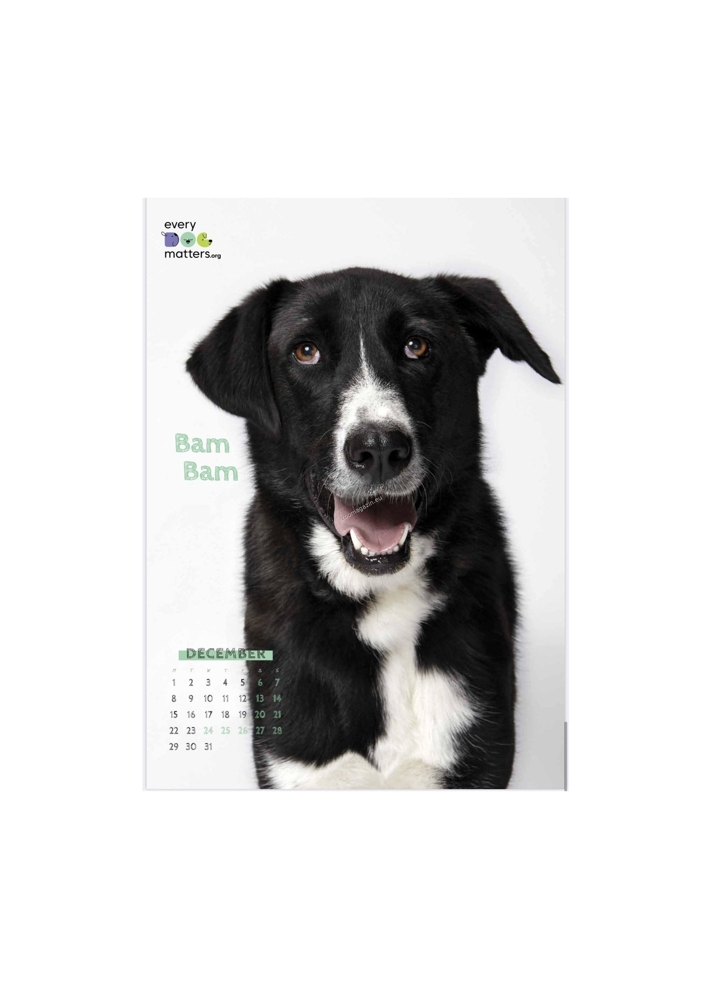 Every Dog Matters - дарителски календар за 2025 година