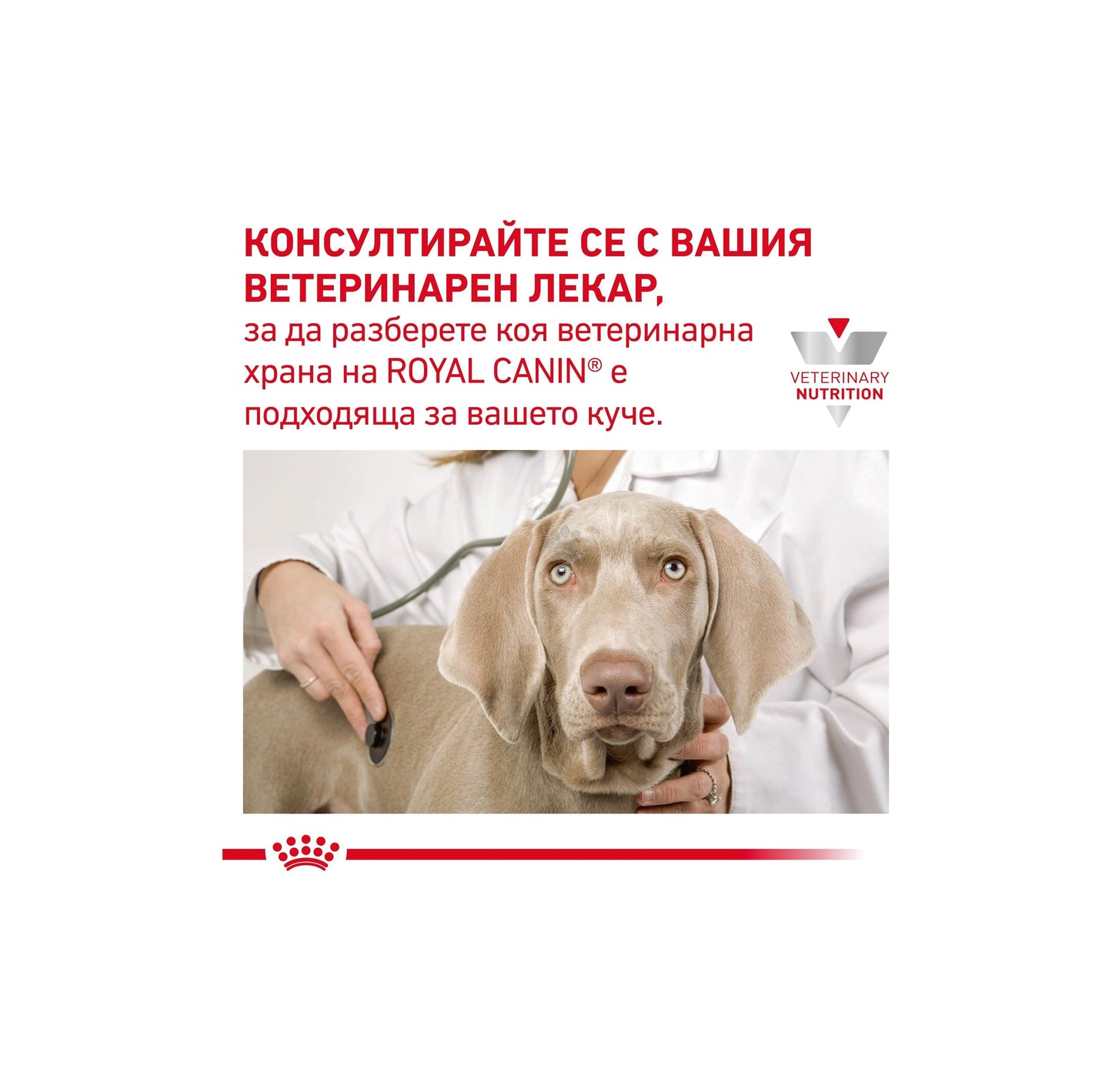 Royal Canin Gastrointestinal Low Fat Small Dog - храна за кучета от малки породи за подпомагане на липидната обмяна 3,5 кг