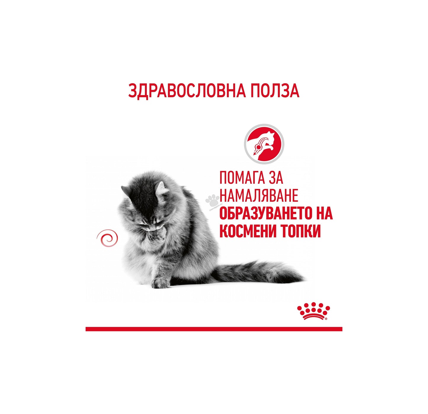 Royal Canin Hairball in Jelly - пълноценна храна за котки склони към образуване на космени топки 85 гр.