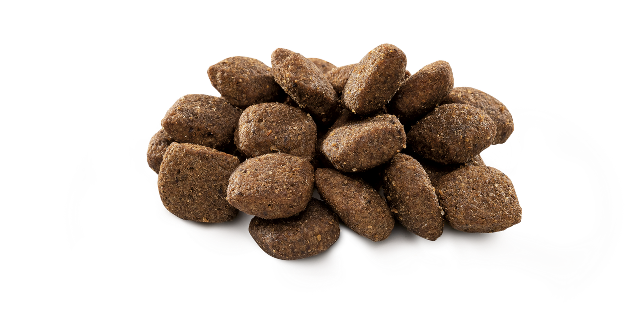Brit Premium by Nature Sensitive Lamb - пълноценна храна с агнешко месо за кучета от всички проди