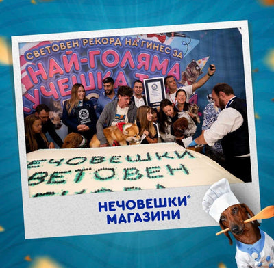 Нечовешки рекорд на Гинес – Най-голямата кучешка торта в света