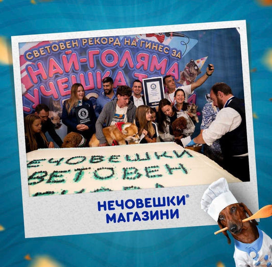 Нечовешки рекорд на Гинес – Най-голямата кучешка торта в света