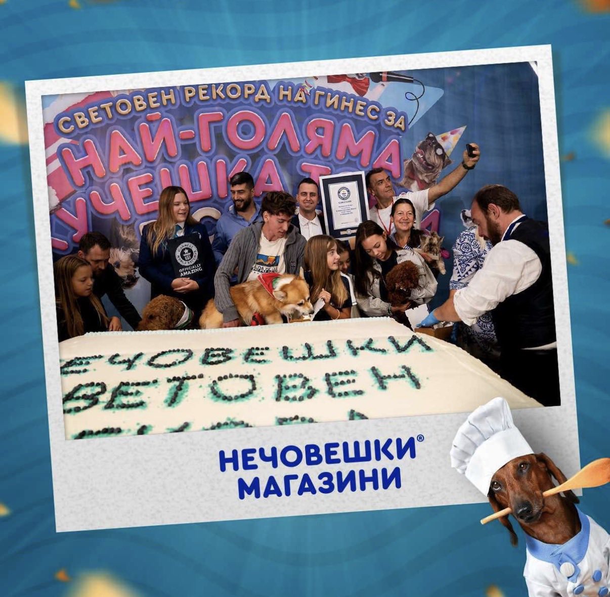 Нечовешки рекорд на Гинес – Най-голямата кучешка торта в света