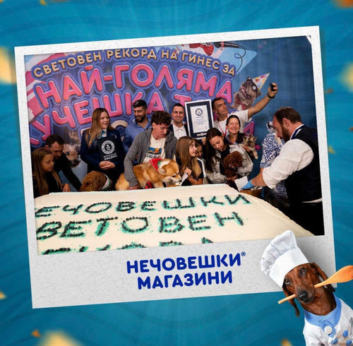 Нечовешки рекорд на Гинес – Най-голямата кучешка торта в света