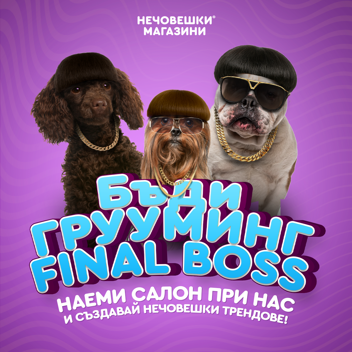 Търсим нечовешки ГРУУМЪР!