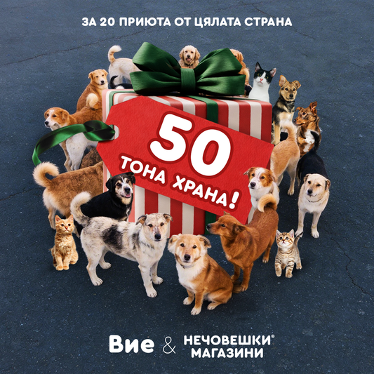 Грандиозно дарение за нечовеците от приютите!
