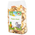 JR Farm Tropic Snack - тропически лакомство за гризачи 200 г