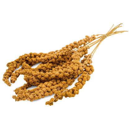 JR Farm Birds Spray Millet Yellow - жълто просо за птици 250 г