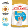 Royal Canin Kavalier King Charles Puppy - за кучета Кавалер Кинг Чарлз на въраст от 2 до 10 месеца 1,5 кг