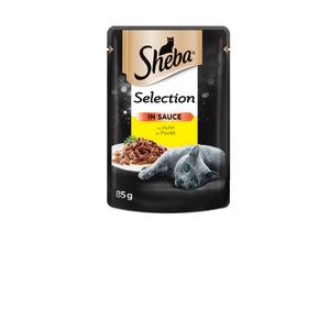 0512146b14f6fa7a9f577a662e1b8849.png