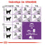 РАЗПРОДАЖБА Royal Canin Sensible 33 - за котки с чувствителна храносмилателна система 10 + 2 кг.