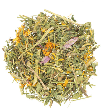 JR Farm Coneflower and Alfalfa Clover - лакомство с ехинацея и люцерна за гризачи 100 г