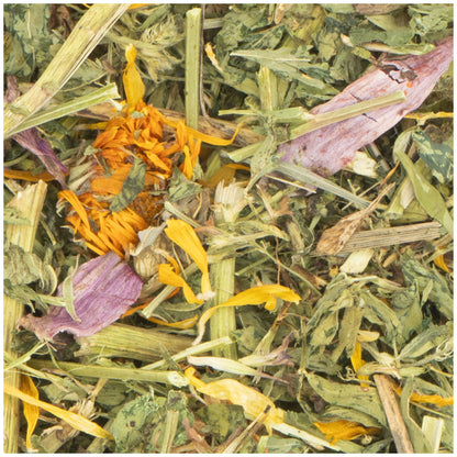 JR Farm Coneflower and Alfalfa Clover - лакомство с ехинацея и люцерна за гризачи 100 г