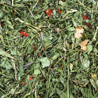 JR Farm Rocket and Tomato - лакомство с рукола и домат за гризачи 100 г