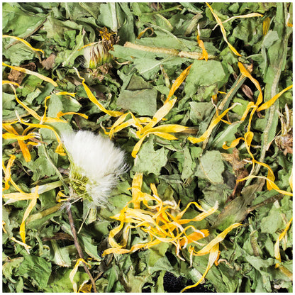 JR Farm Dandelion - лакомство с глухарче за гризачи 100 г