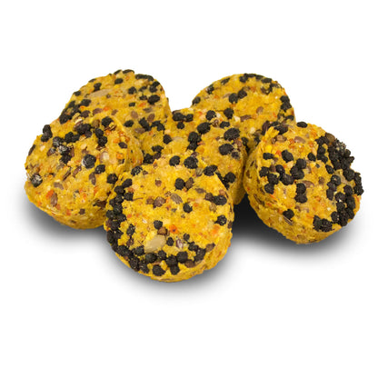 JR Farm Wholemeal Blueberry Cookies - пълнозърнести бисквити с боровинки за гризачи 120 г
